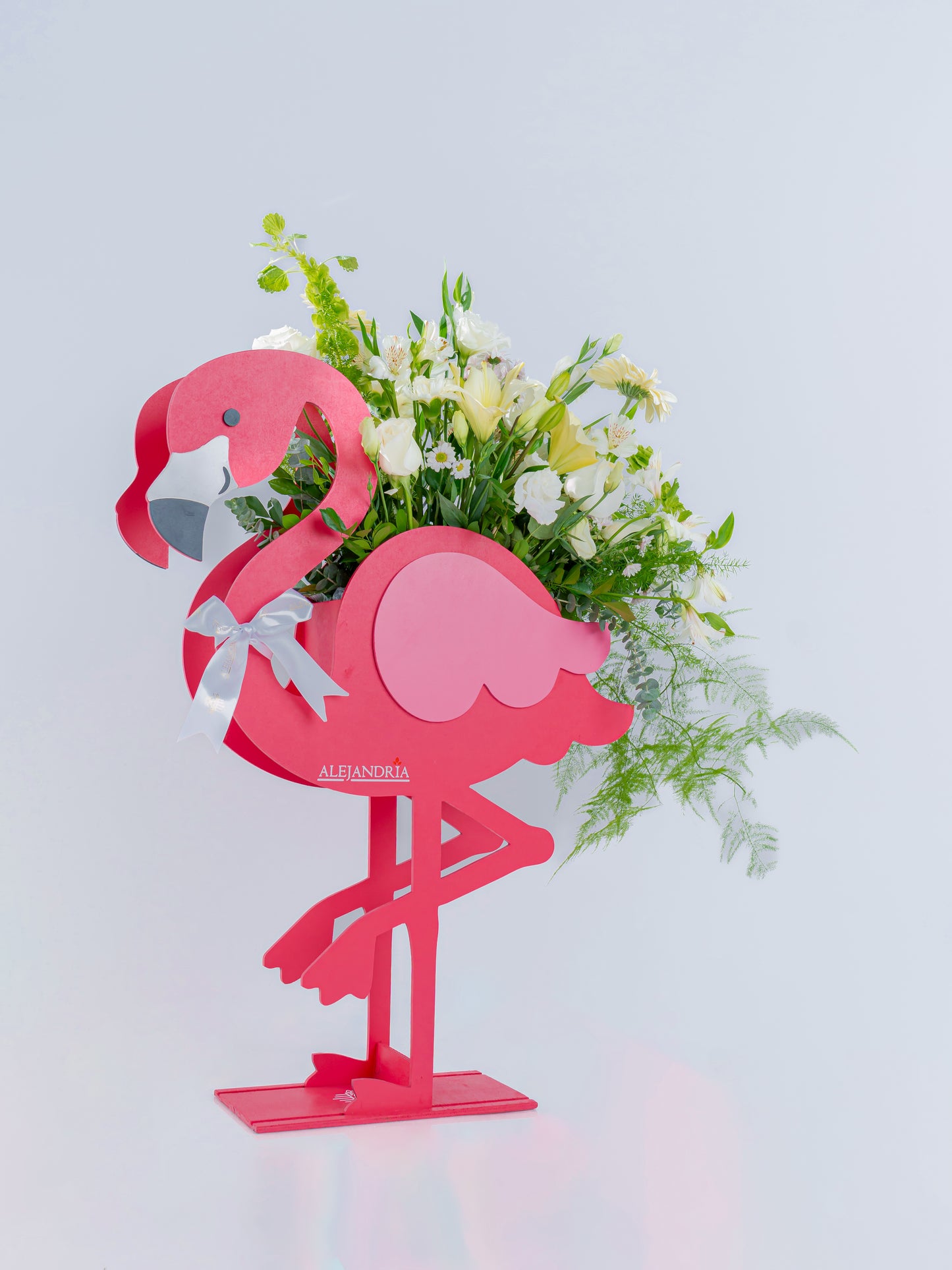 Baby "Flamenco" Opción Unisex