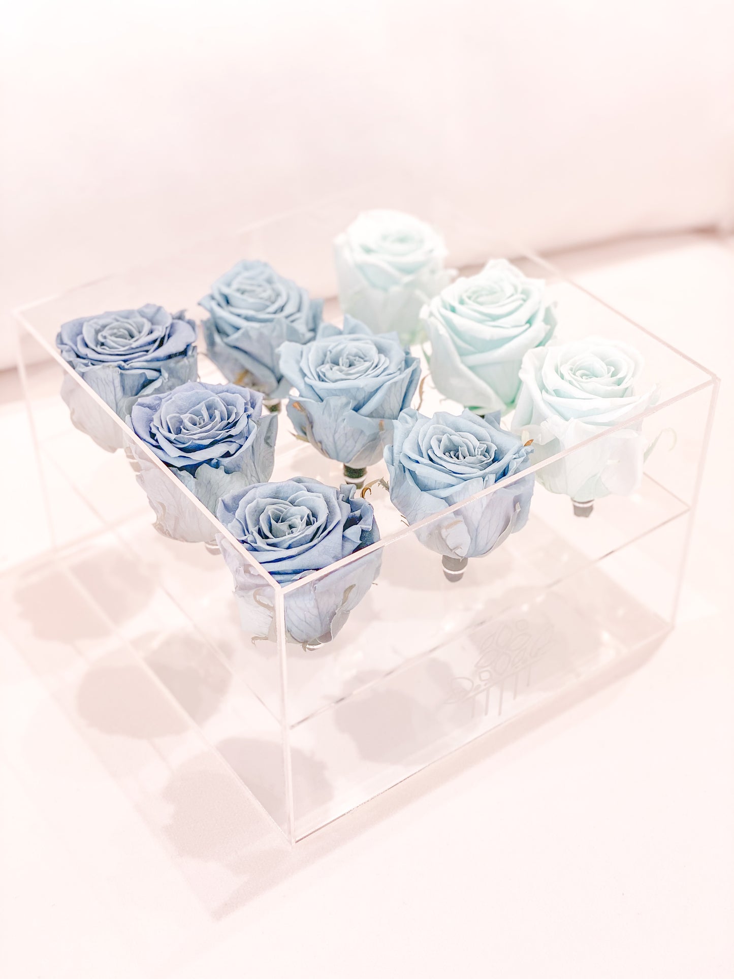9 Rosas Preservadas en Caja Acrílica - Alejandría Arte Floral
