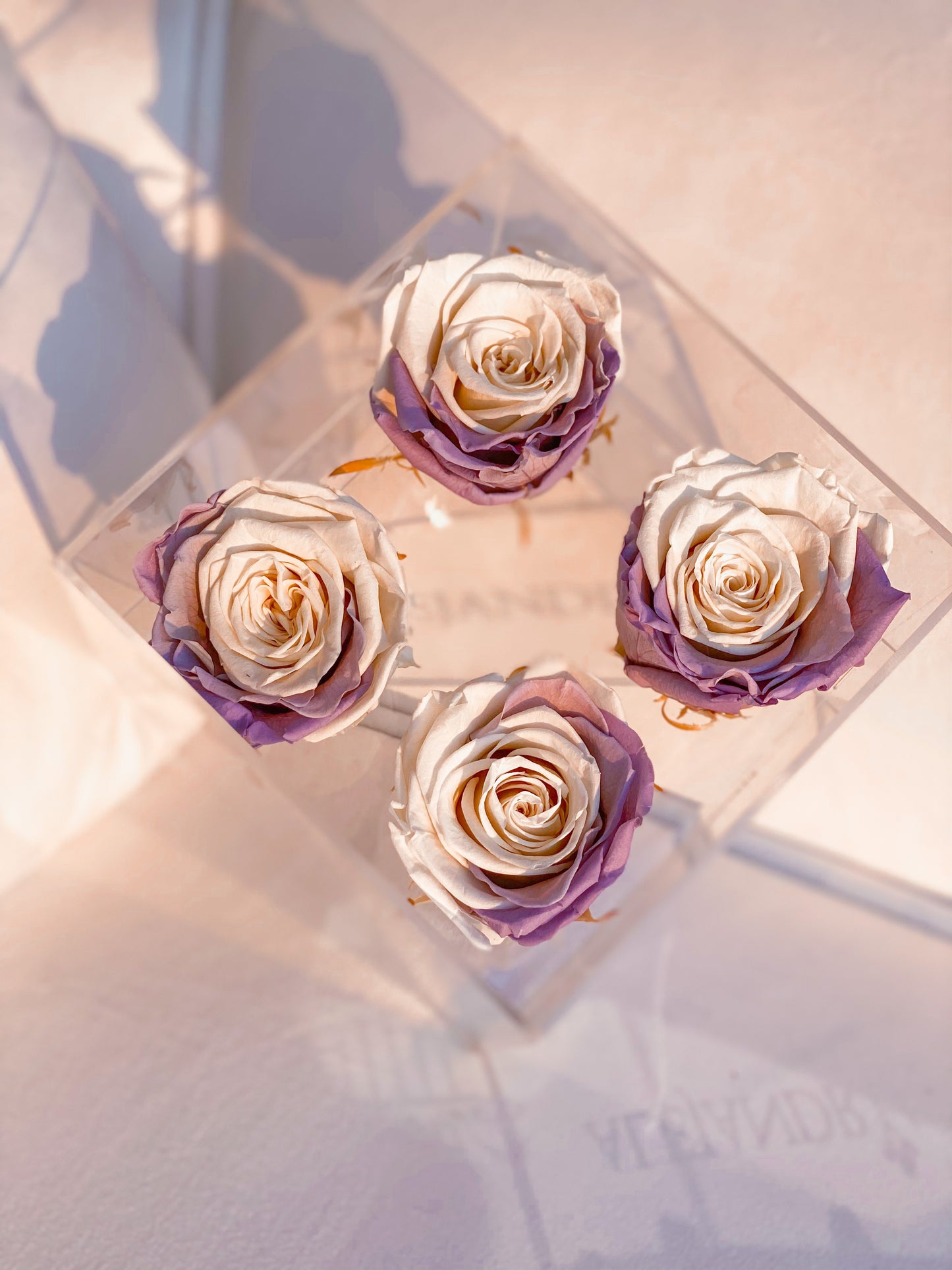 4 Rosas Preservadas en Caja Acrílica - Alejandría Arte Floral