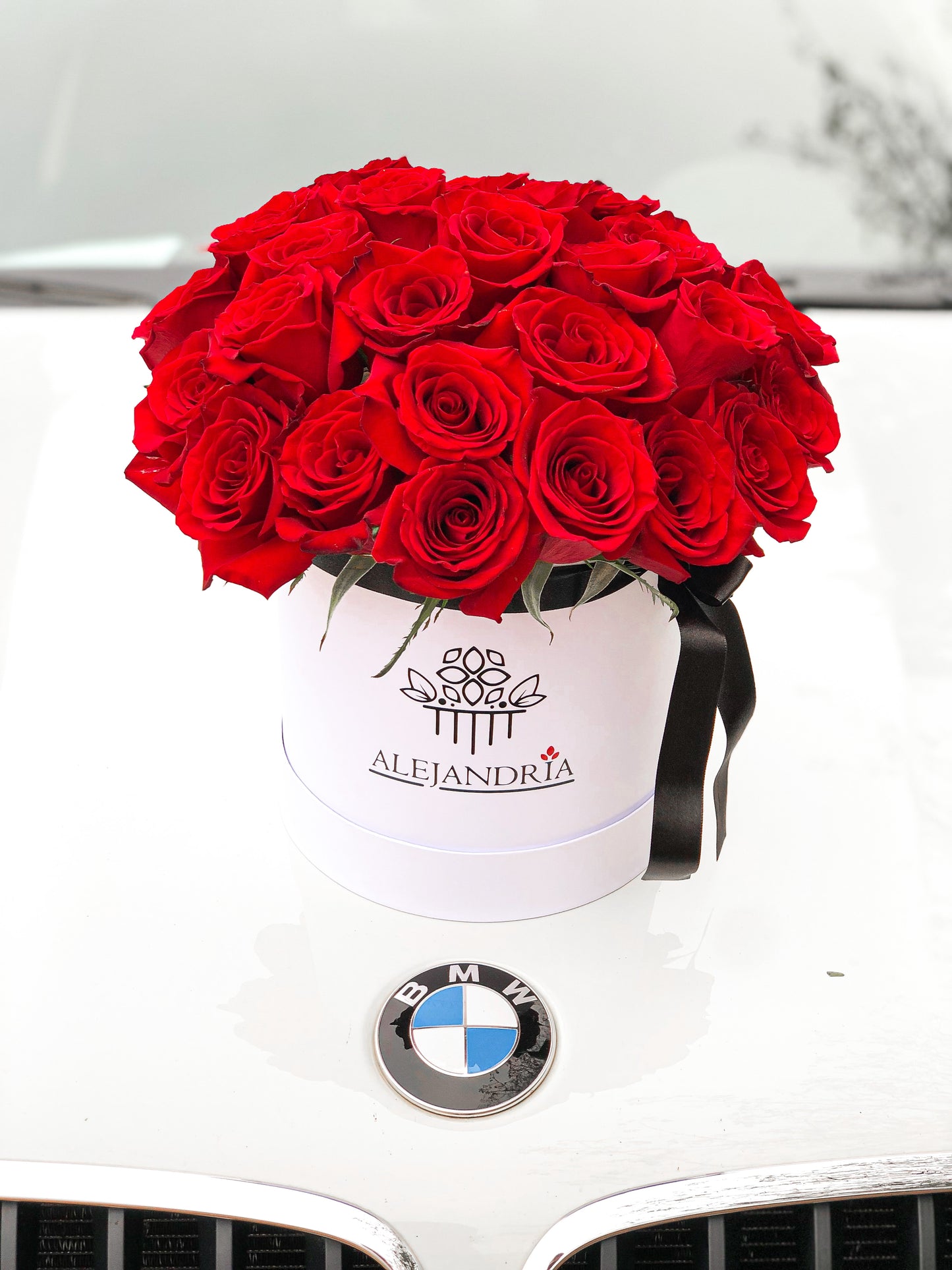 FlowerBox "Davinci" - Alejandría Arte Floral