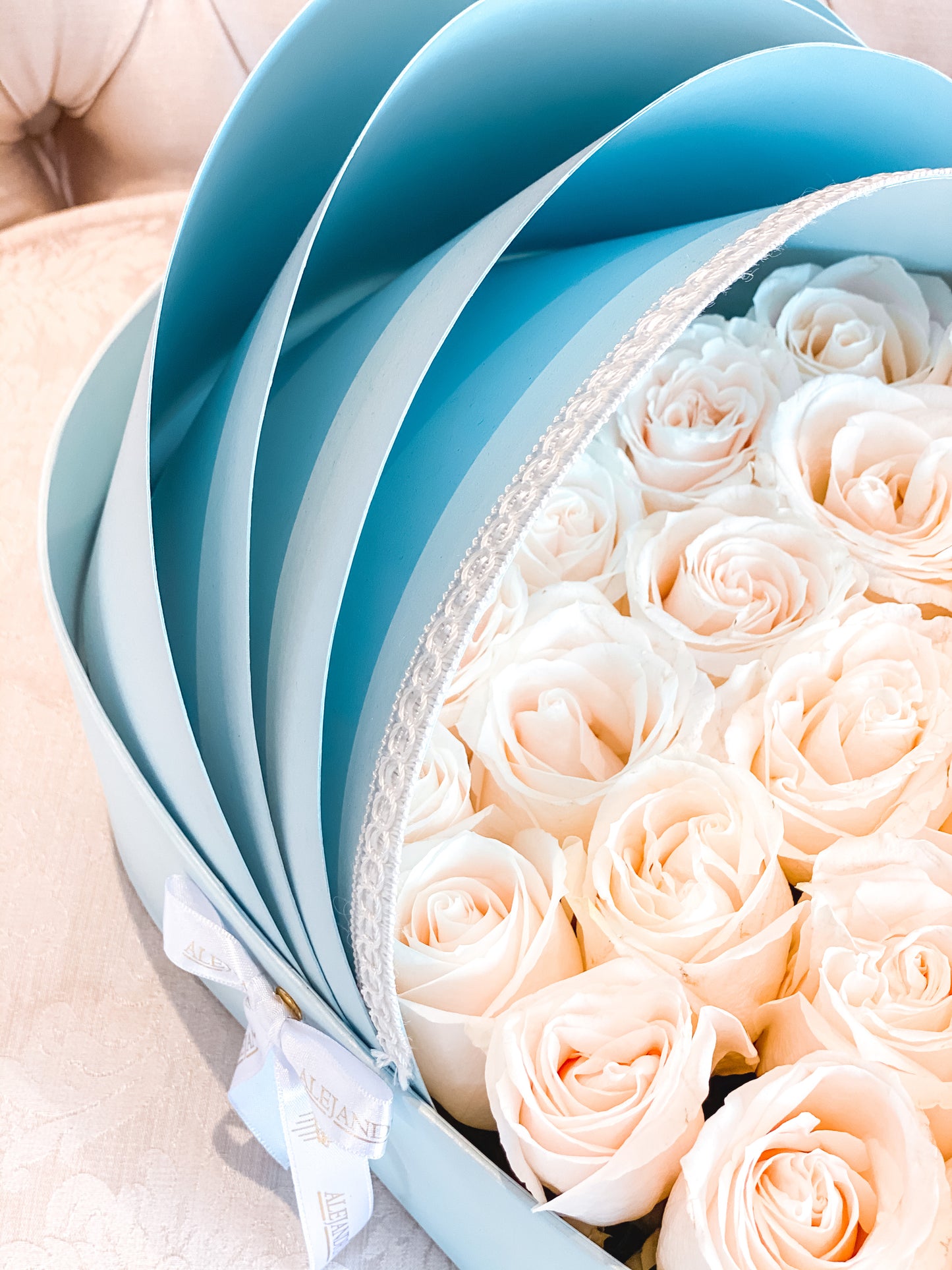 Roses Savage Flower Babyseat "G" 💙 - Alejandría Arte Floral