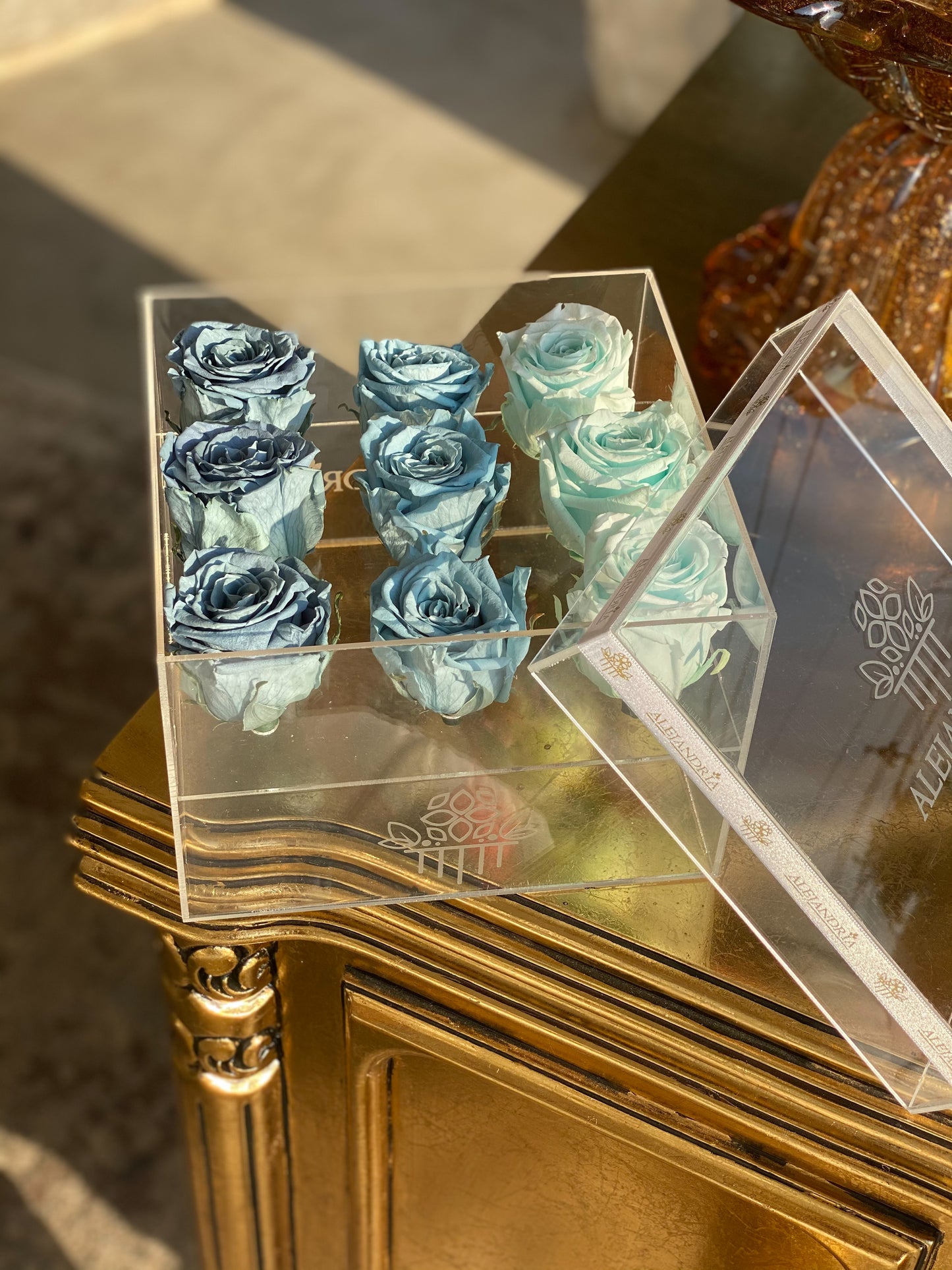 9 Rosas Preservadas en Caja Acrílica - Alejandría Arte Floral
