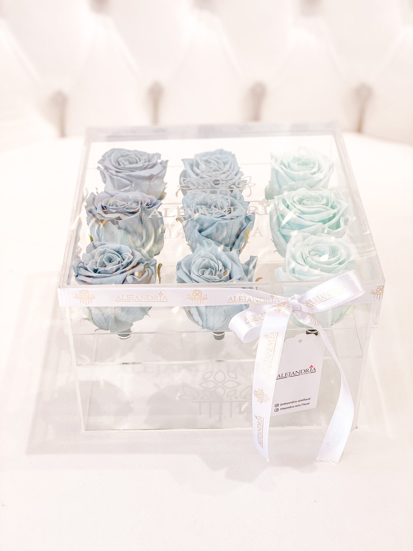 9 Rosas Preservadas en Caja Acrílica - Alejandría Arte Floral