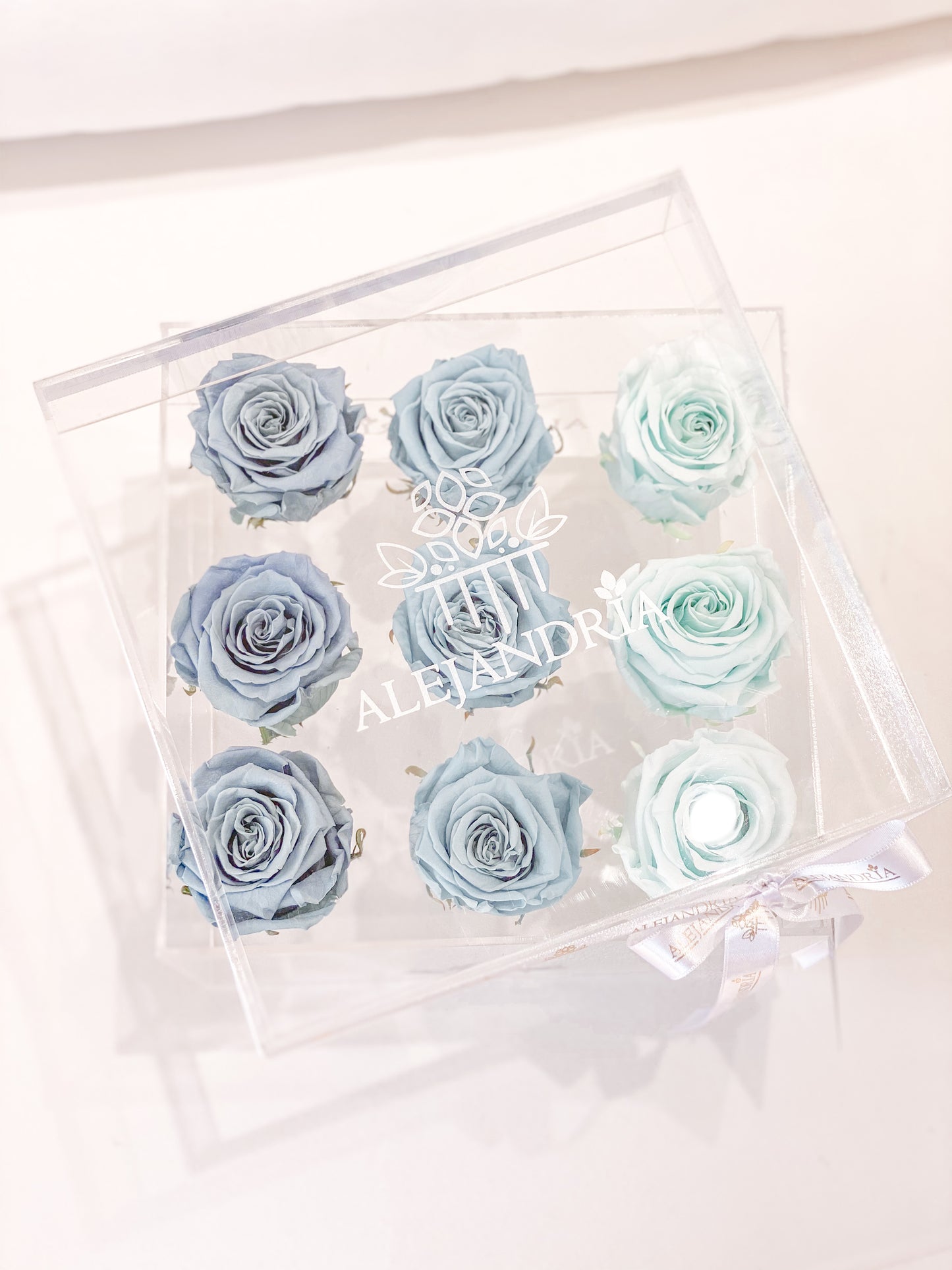 9 Rosas Preservadas en Caja Acrílica - Alejandría Arte Floral