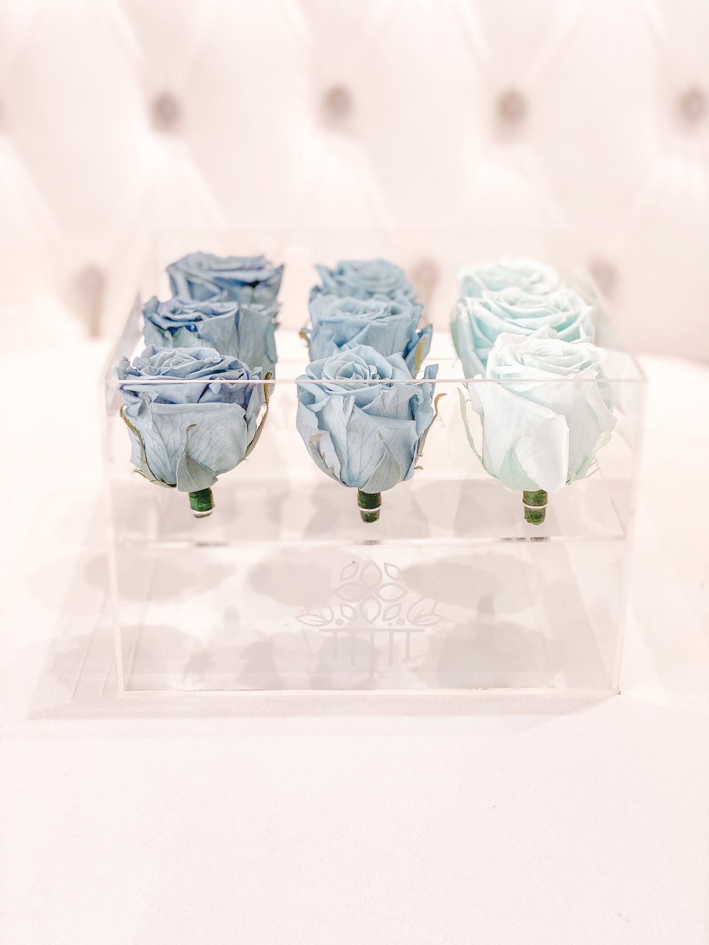 9 Rosas Preservadas en Caja Acrílica - Alejandría Arte Floral