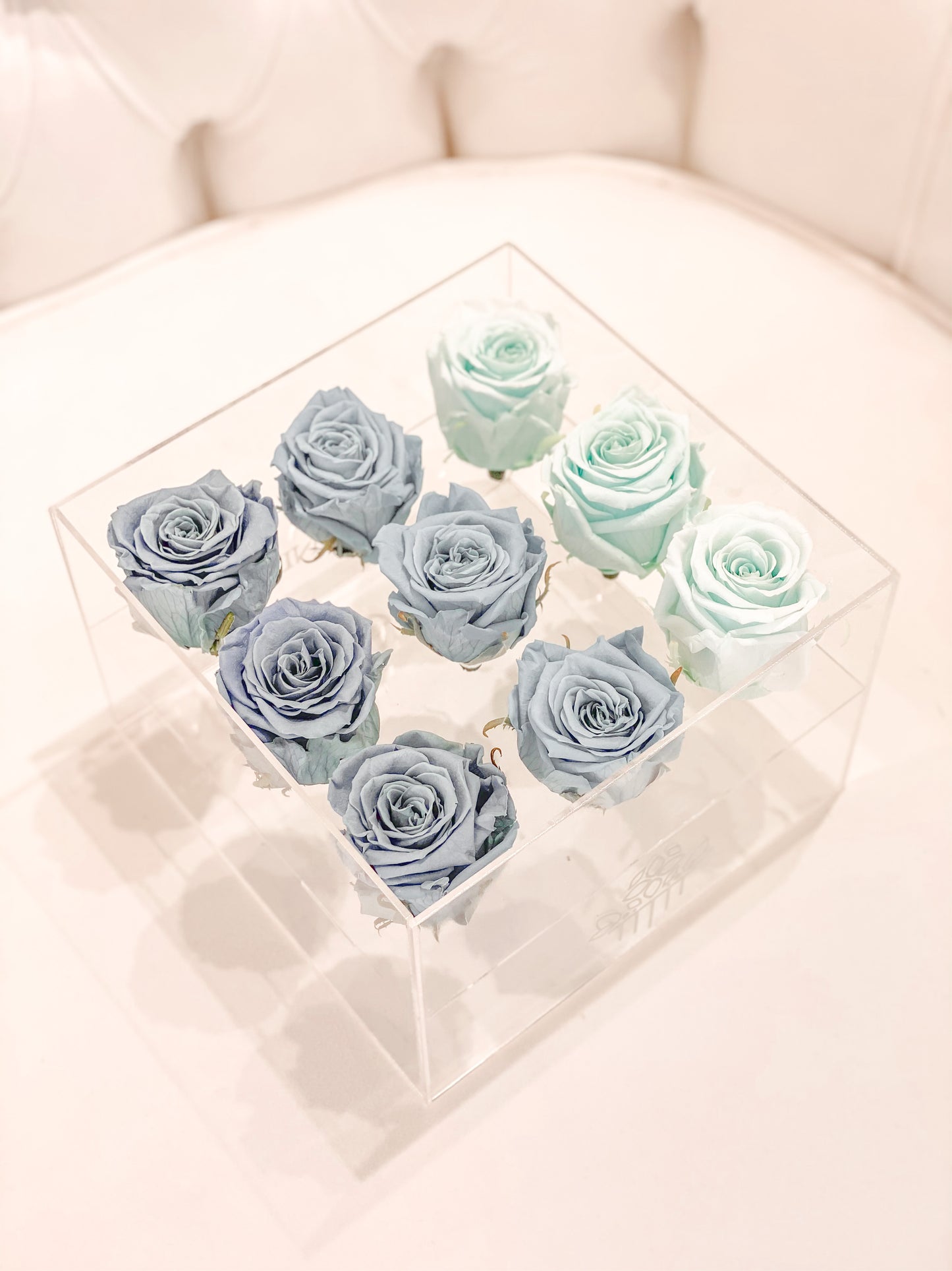 9 Rosas Preservadas en Caja Acrílica - Alejandría Arte Floral