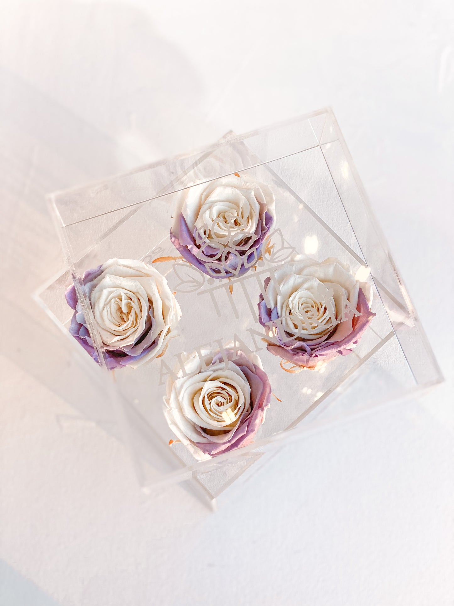 4 Rosas Preservadas en Caja Acrílica - Alejandría Arte Floral