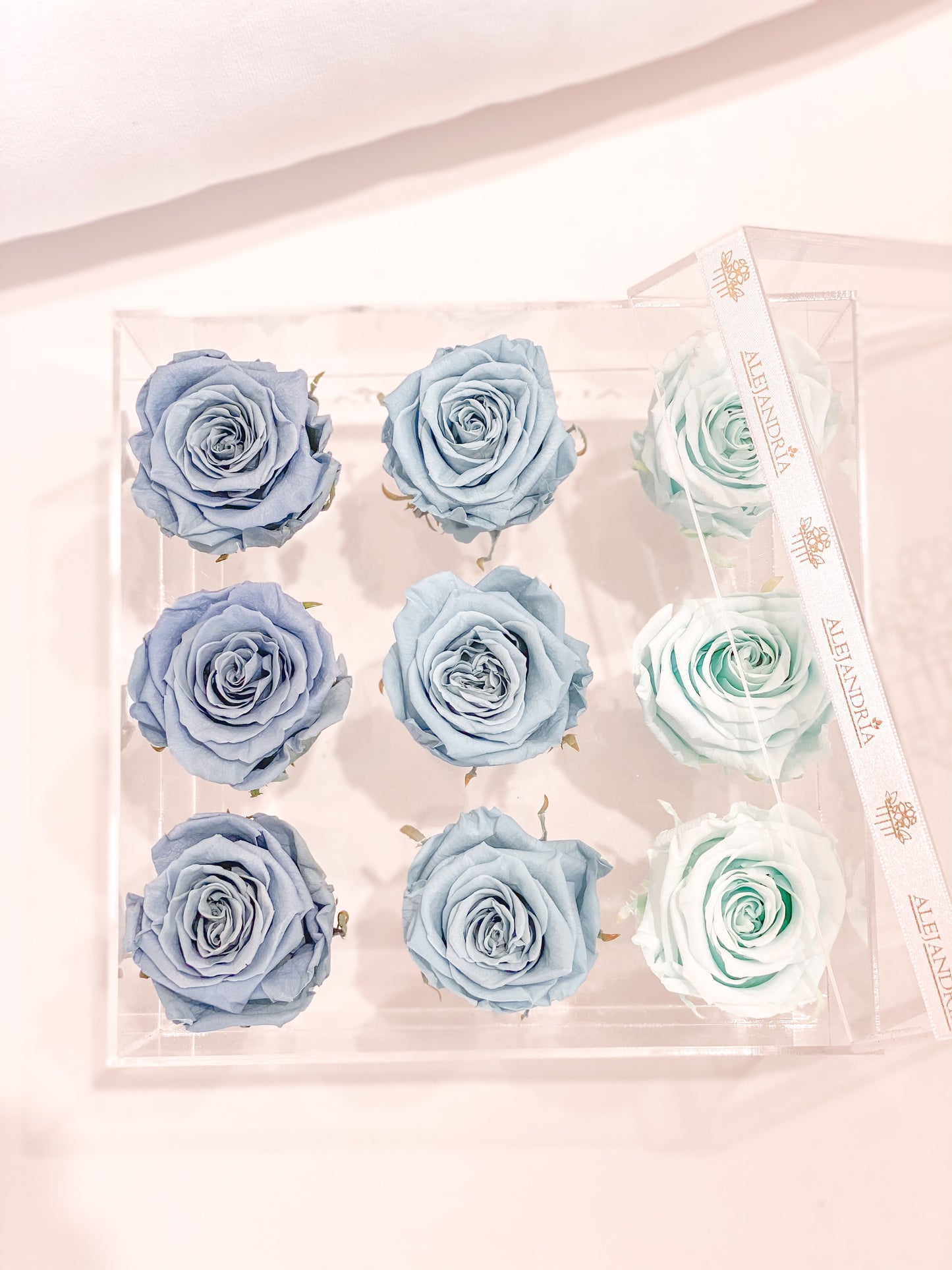 9 Rosas Preservadas en Caja Acrílica - Alejandría Arte Floral