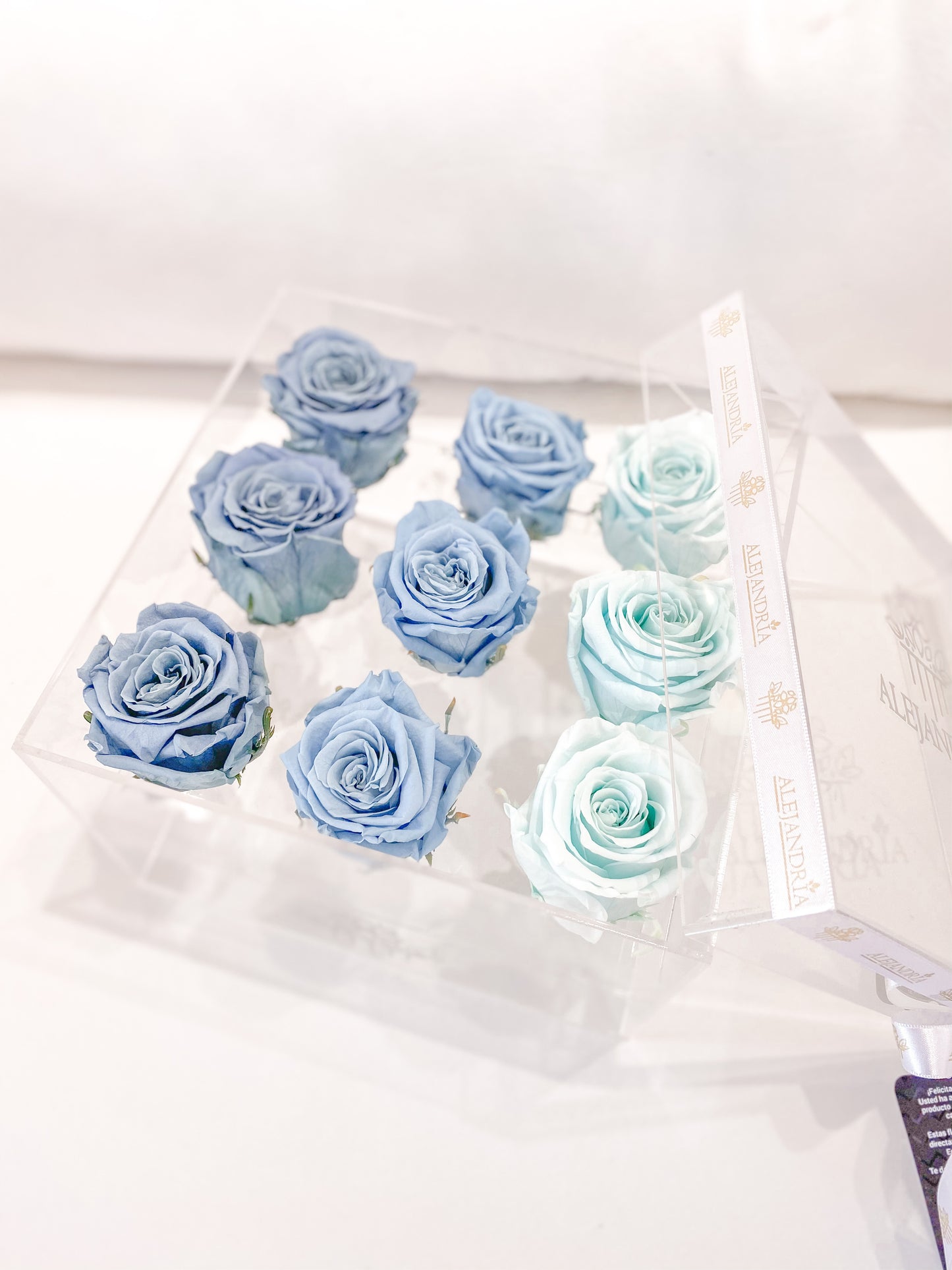 9 Rosas Preservadas en Caja Acrílica - Alejandría Arte Floral