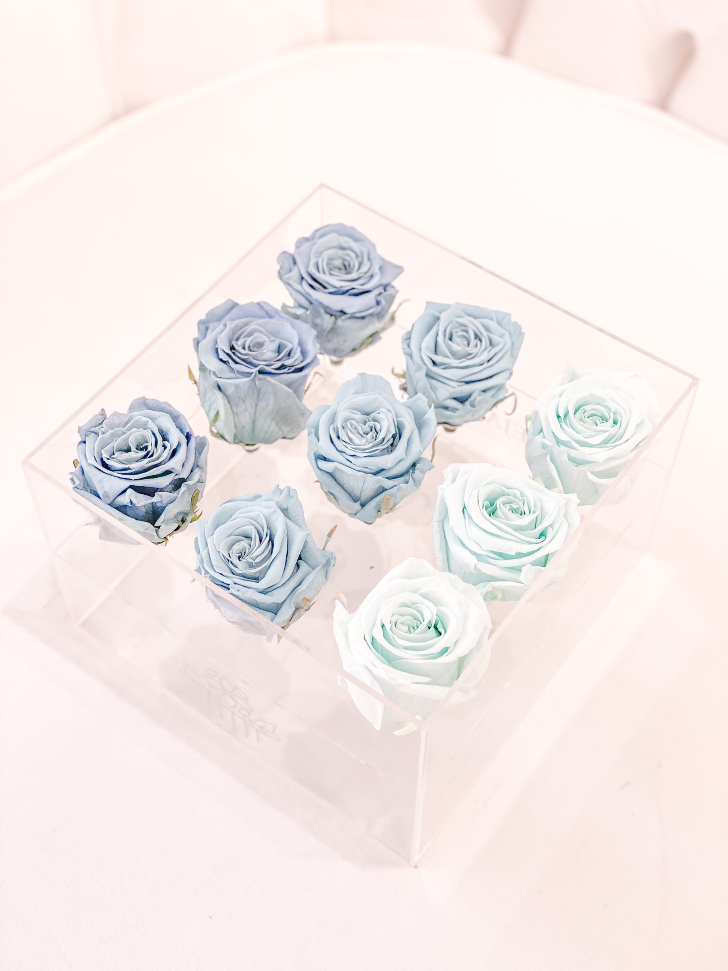 9 Rosas Preservadas en Caja Acrílica - Alejandría Arte Floral