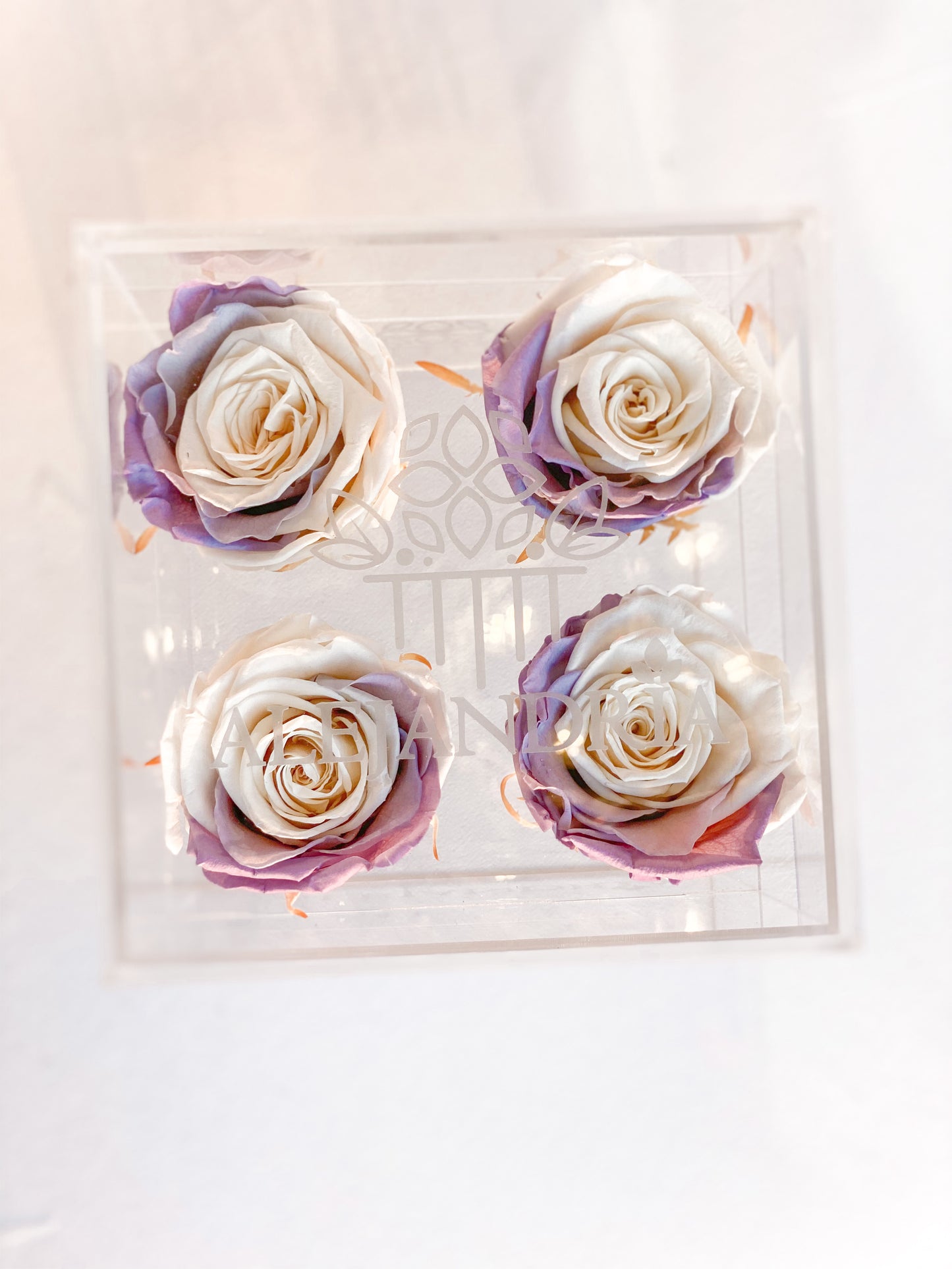 4 Rosas Preservadas en Caja Acrílica - Alejandría Arte Floral