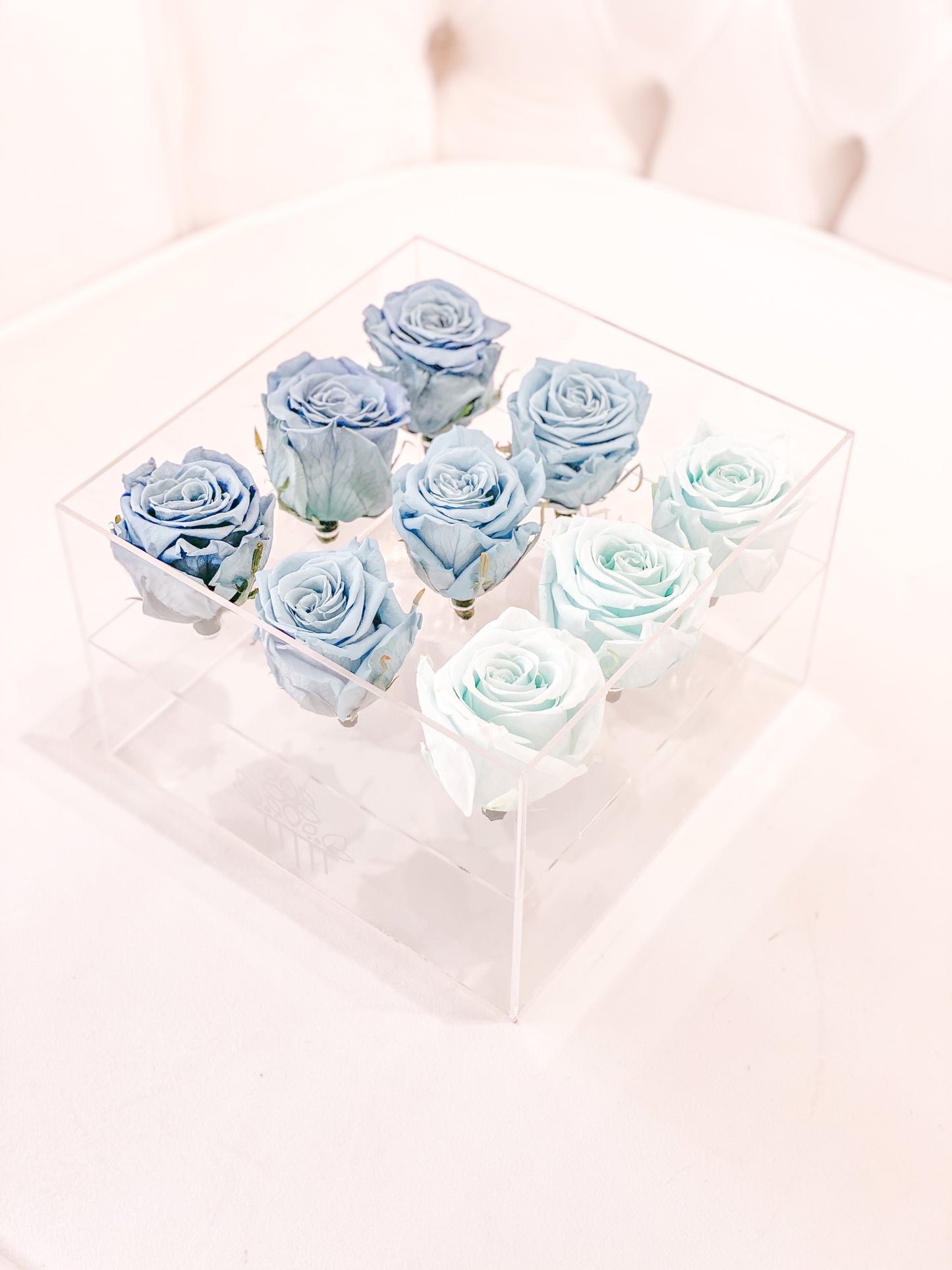 9 Rosas Preservadas en Caja Acrílica - Alejandría Arte Floral