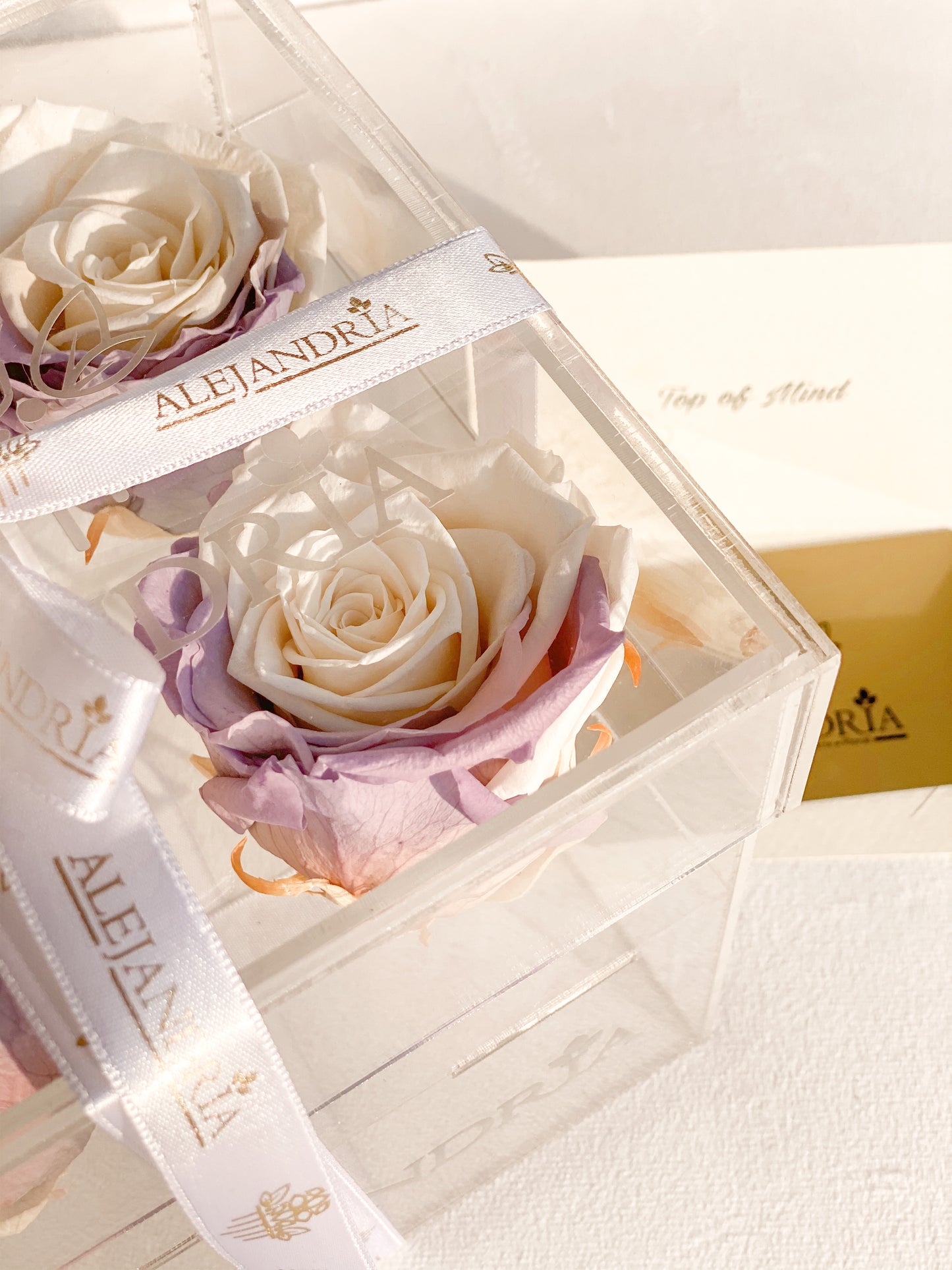 4 Rosas Preservadas en Caja Acrílica - Alejandría Arte Floral