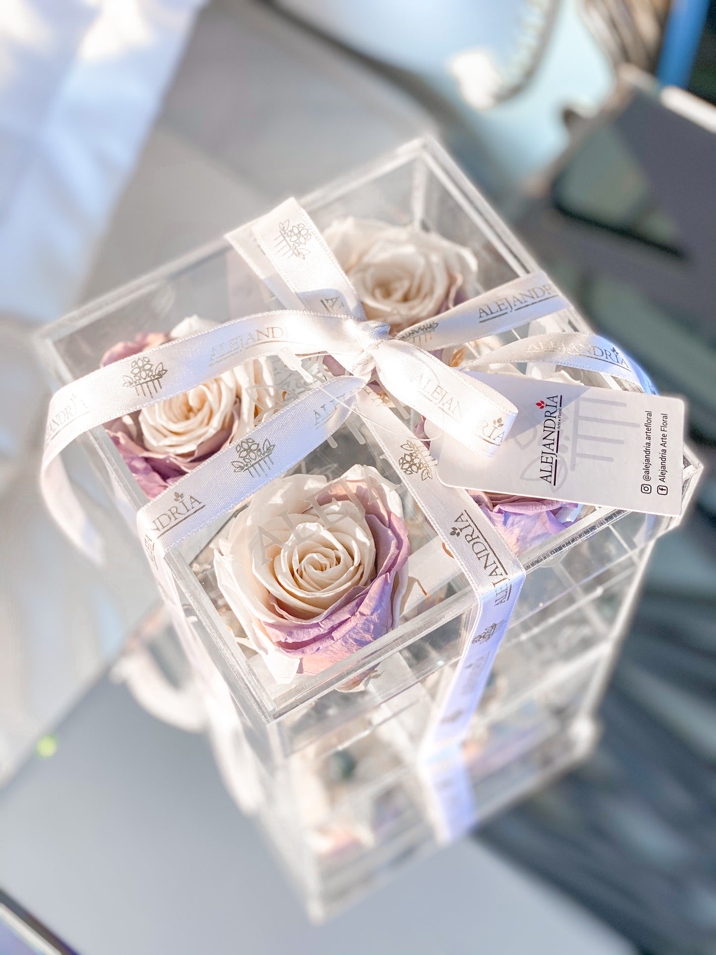 4 Rosas Preservadas en Caja Acrílica - Alejandría Arte Floral