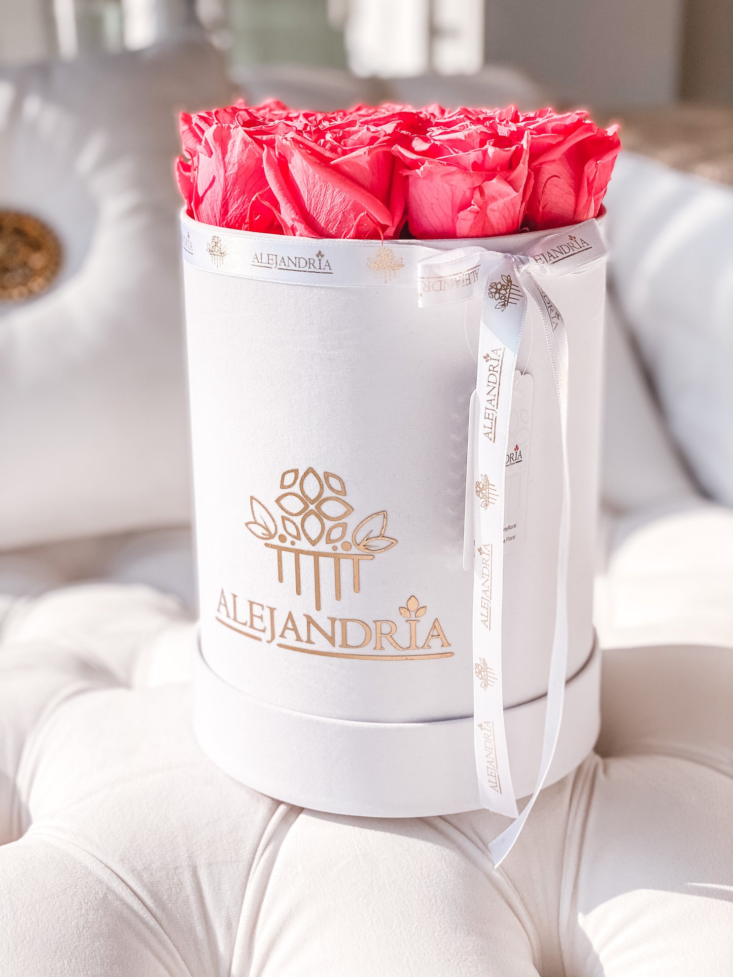 Box Terciopelo 12 Rosas Preservadas - Alejandría Arte Floral