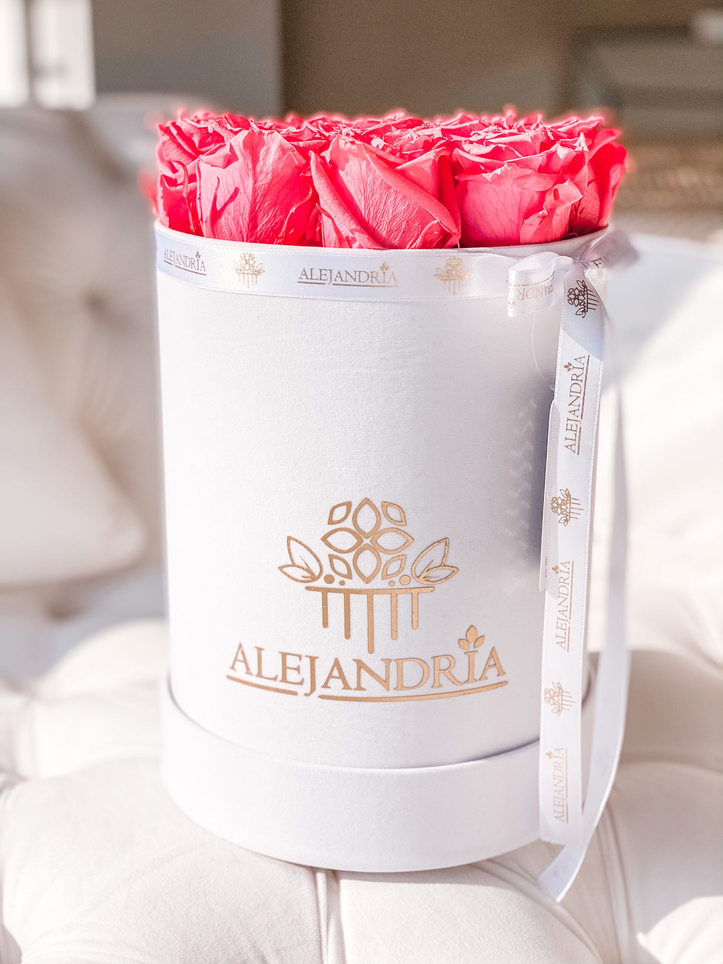 Box Terciopelo 12 Rosas Preservadas - Alejandría Arte Floral