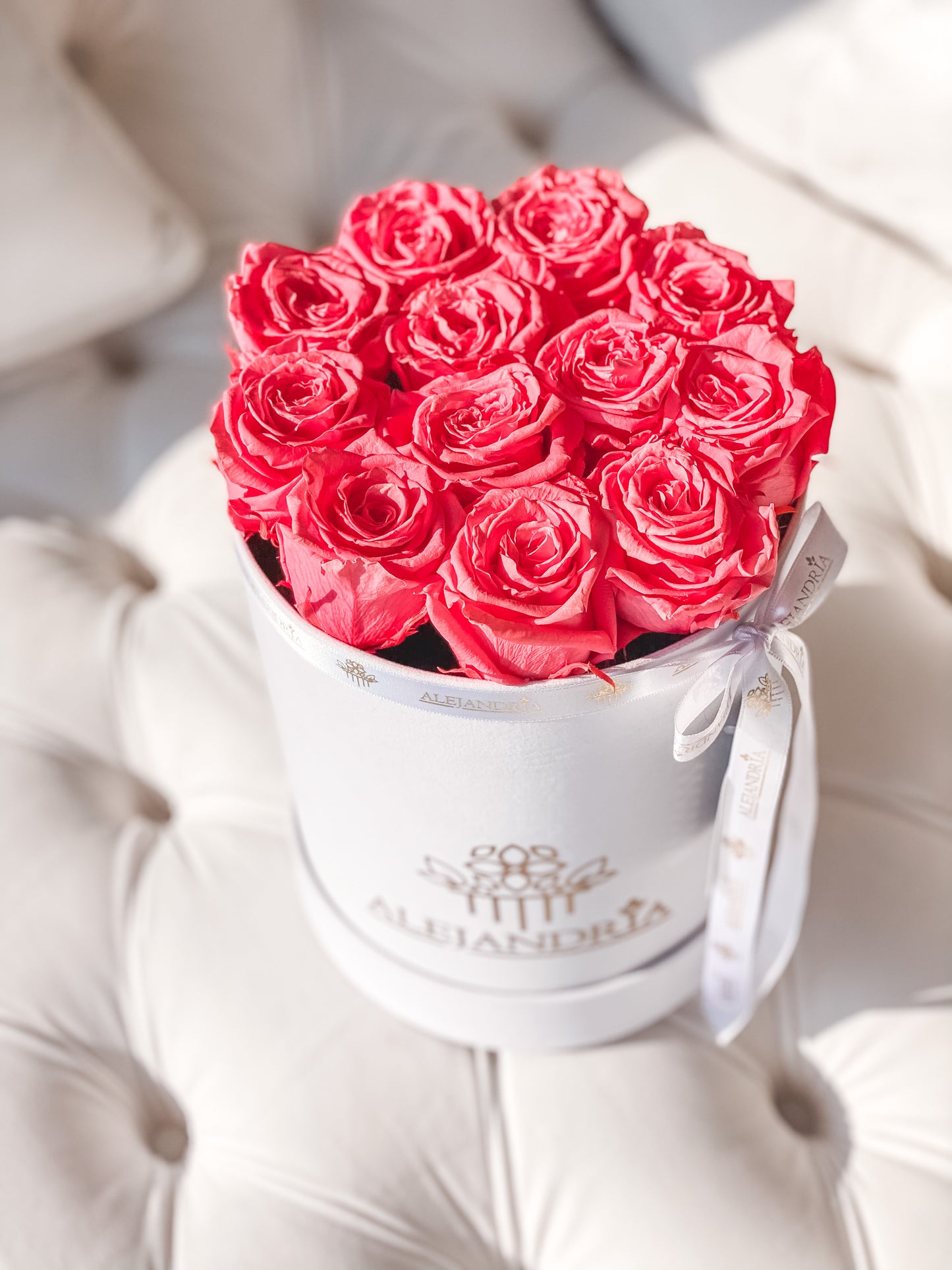 Box Terciopelo 12 Rosas Preservadas - Alejandría Arte Floral