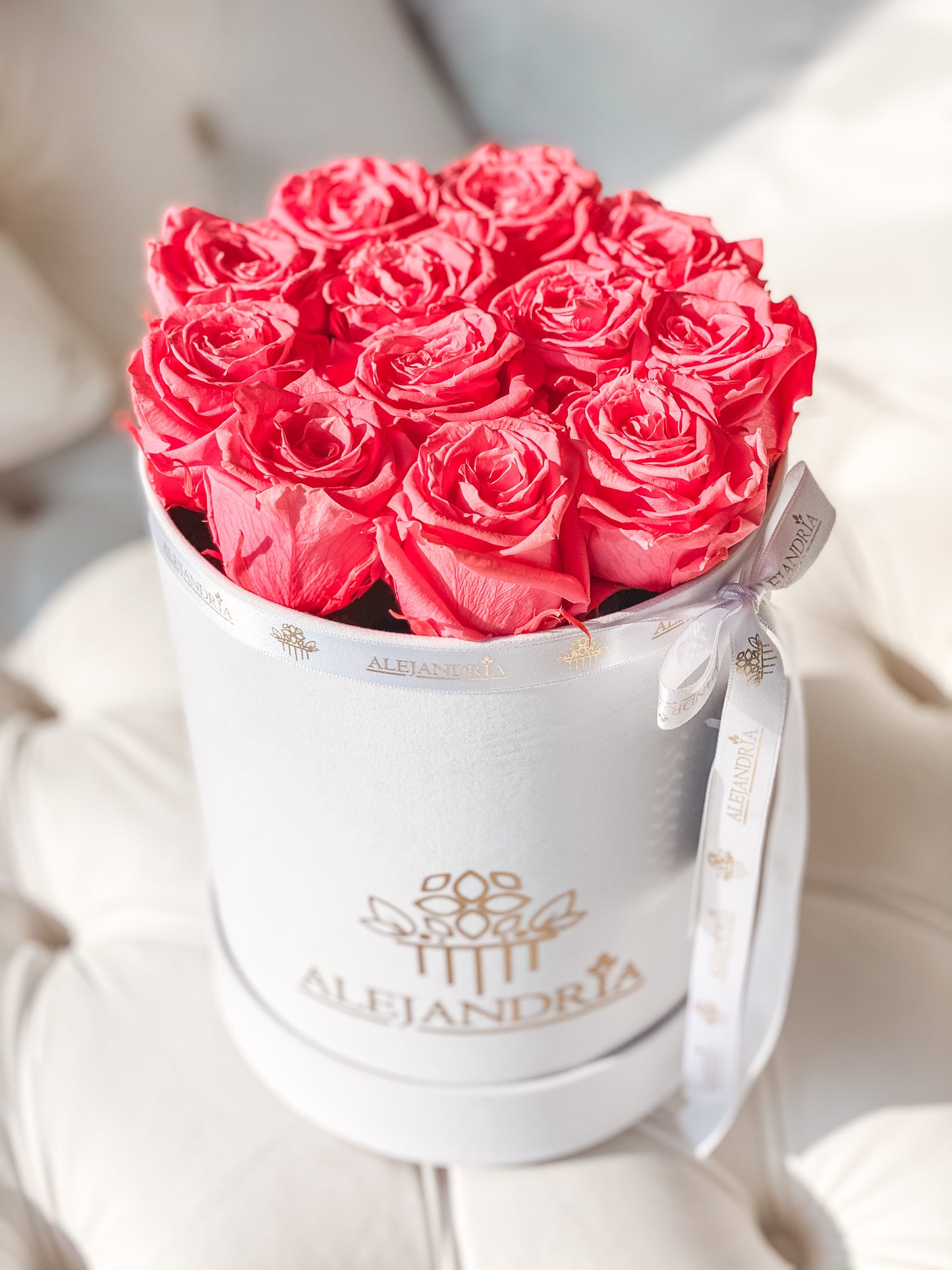 Box Terciopelo 12 Rosas Preservadas - Alejandría Arte Floral