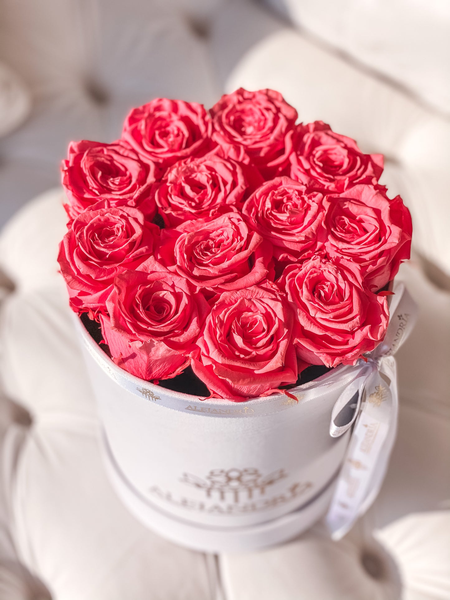 Box Terciopelo 12 Rosas Preservadas - Alejandría Arte Floral