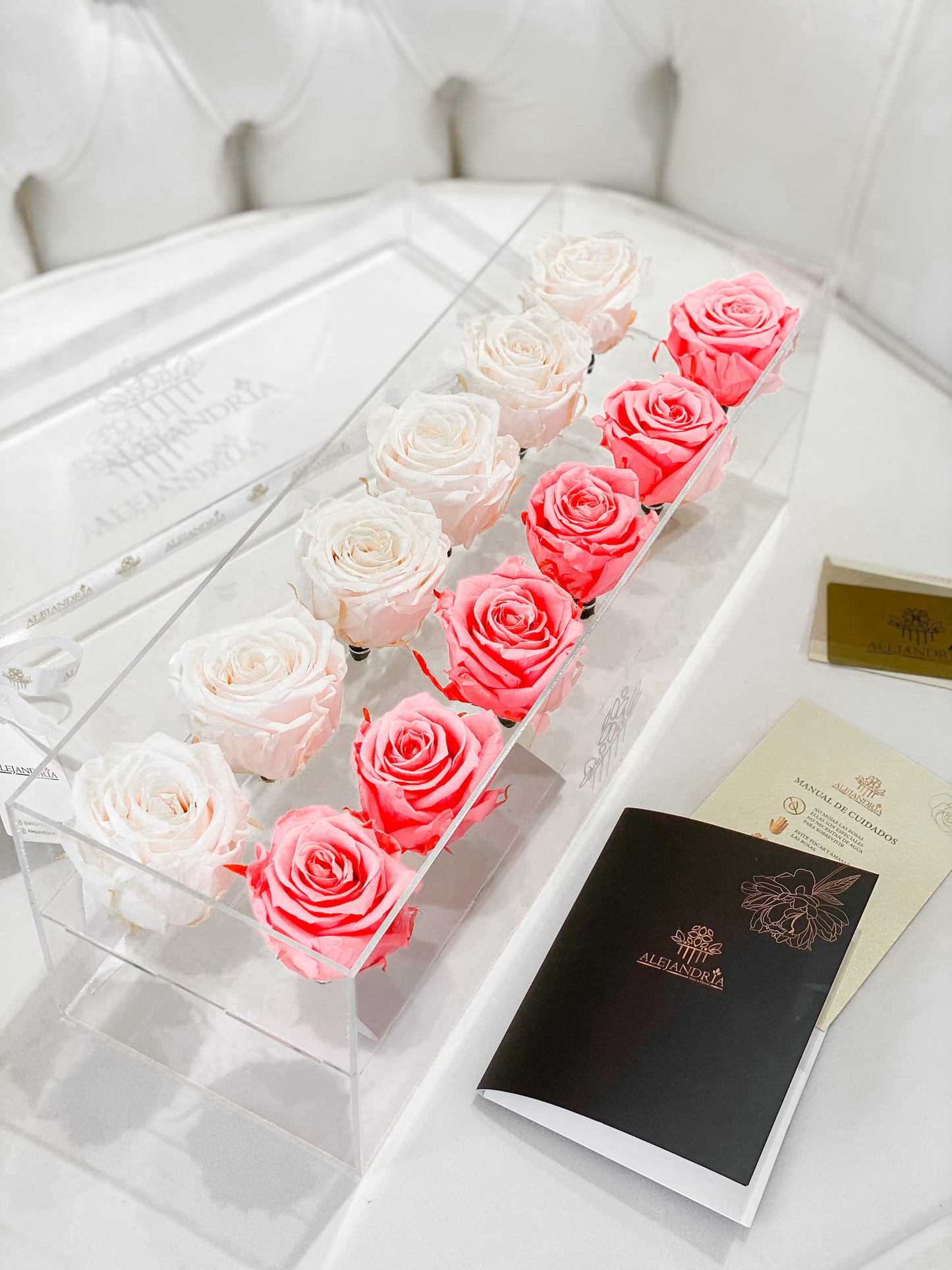 12 Rosas Preservadas en Caja Acrílica - Alejandría Arte Floral