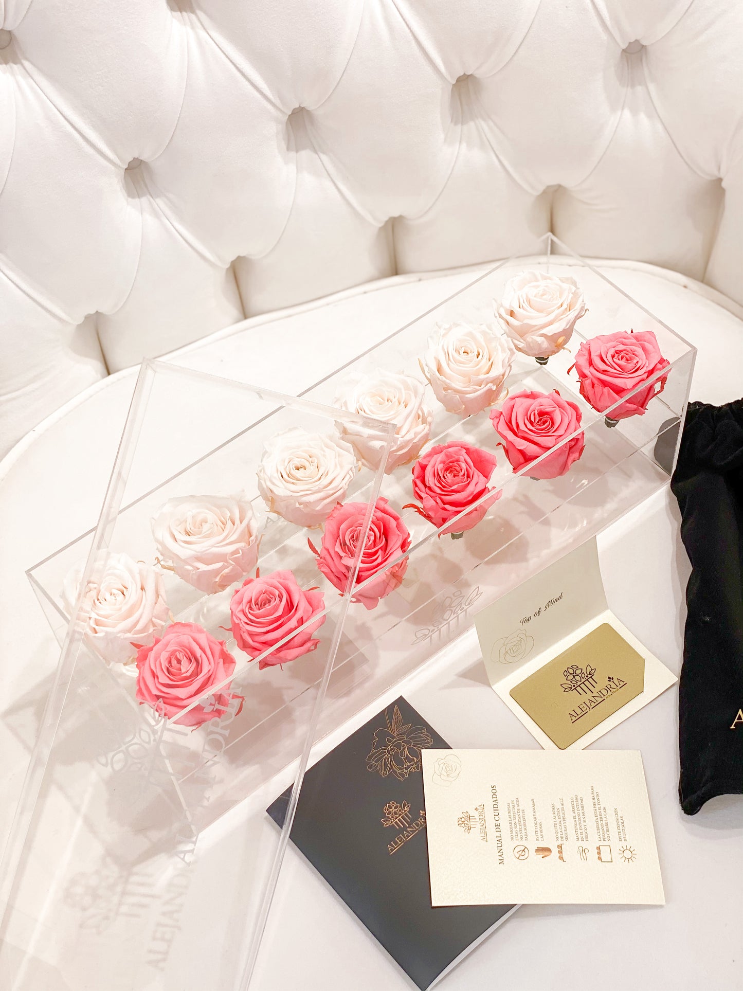 12 Rosas Preservadas en Caja Acrílica - Alejandría Arte Floral