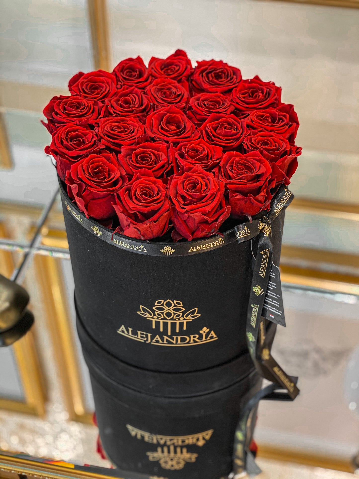 Box Terciopelo G Rosas Preservadas - Alejandría Arte Floral