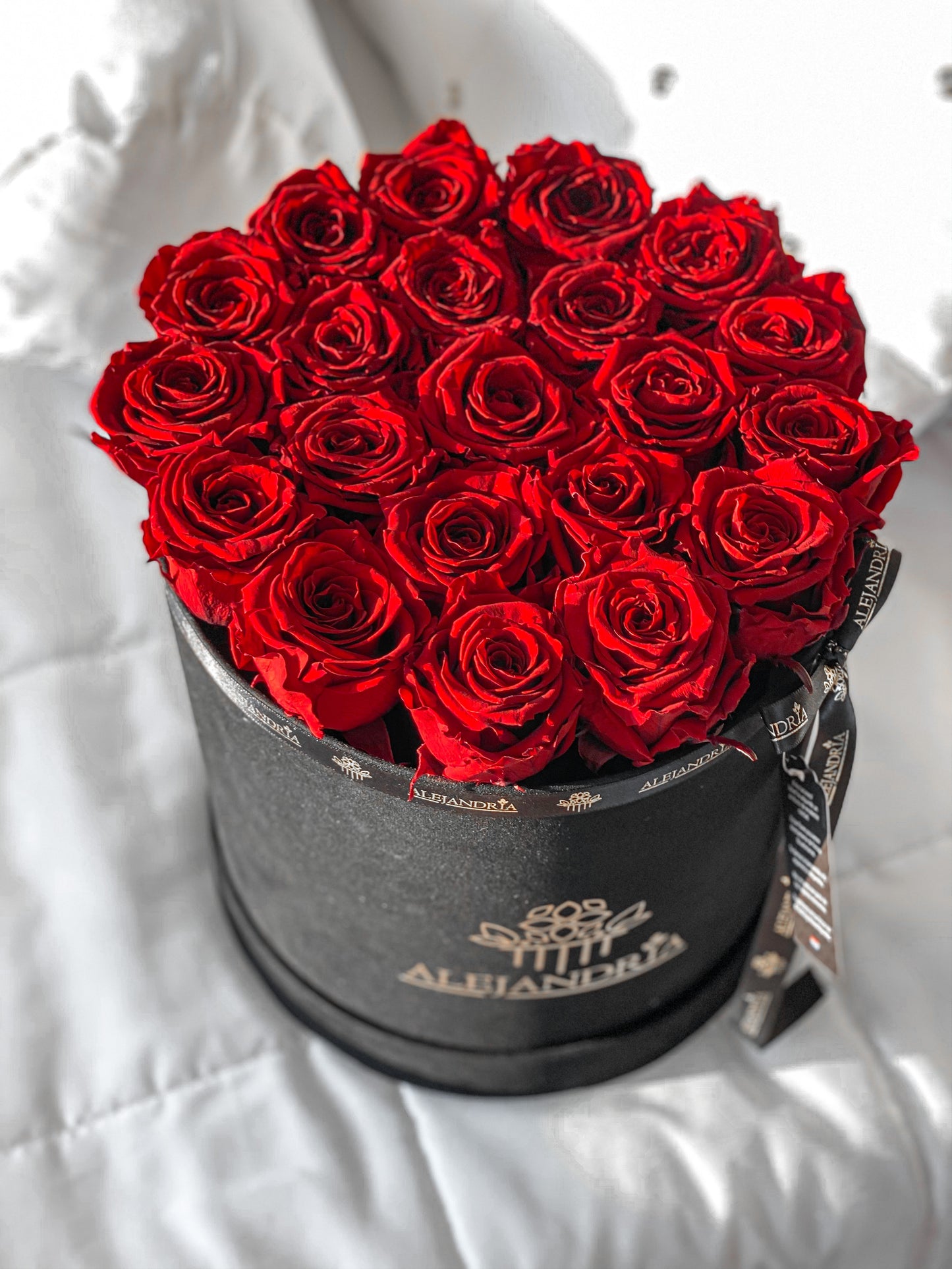 Box Terciopelo G Rosas Preservadas - Alejandría Arte Floral