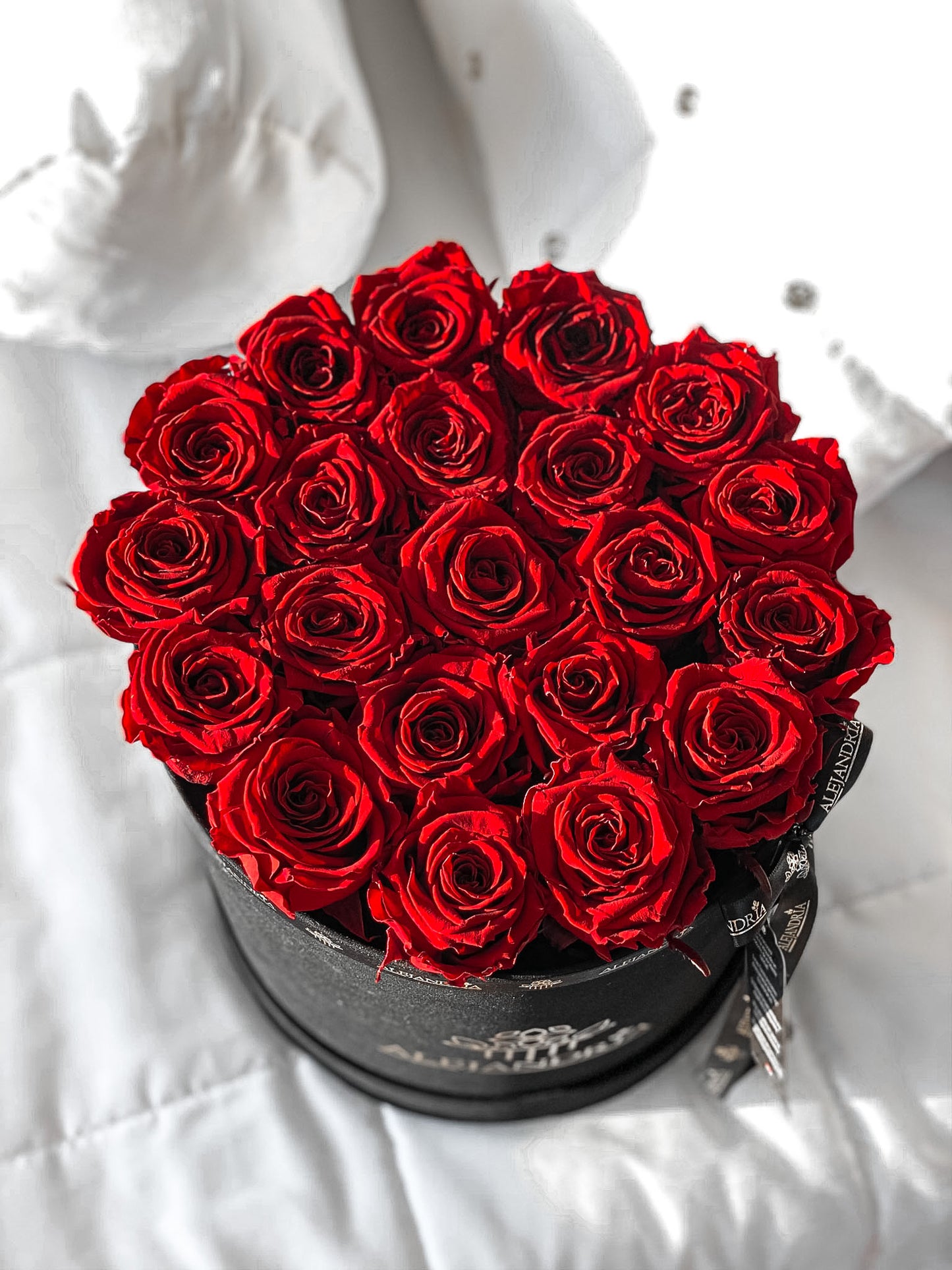 Box Terciopelo G Rosas Preservadas - Alejandría Arte Floral