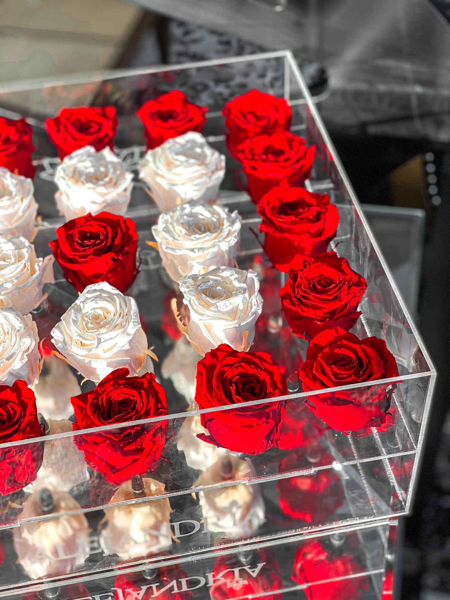 25 Rosas Preservadas en Caja Acrílica - Alejandría Arte Floral