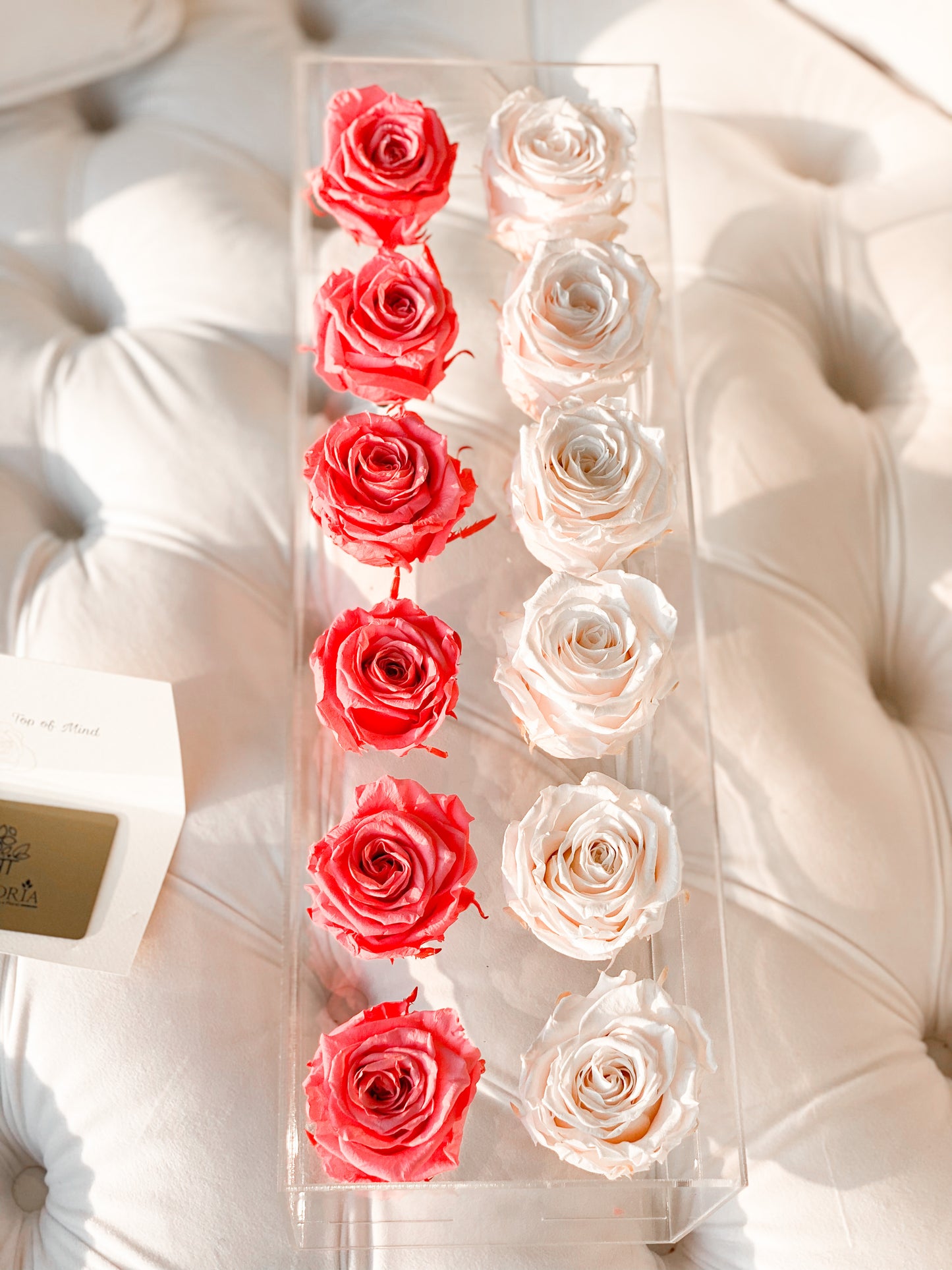 12 Rosas Preservadas en Caja Acrílica - Alejandría Arte Floral