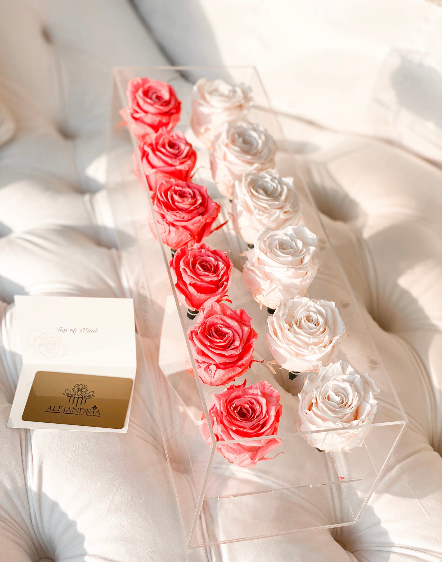 12 Rosas Preservadas en Caja Acrílica - Alejandría Arte Floral