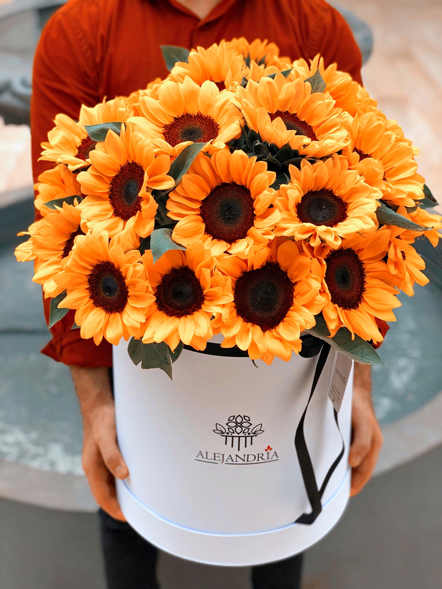 Imperial de Girasoles - Alejandría Arte Floral