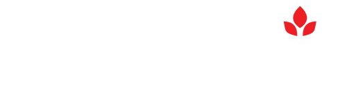 Alejandría Arte Floral 