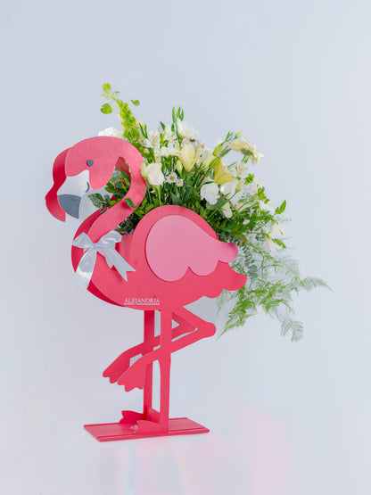 Baby "Flamenco" Opción Unisex