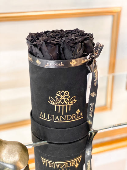 Box Terciopelo 7 Rosas Preservadas - Alejandría Arte Floral 