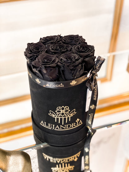 Box Terciopelo 7 Rosas Preservadas - Alejandría Arte Floral 