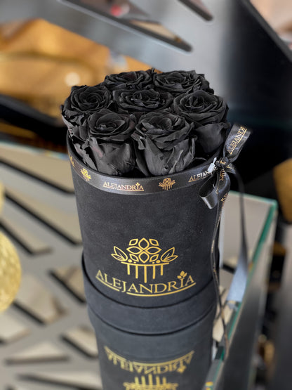 Box Terciopelo 7 Rosas Preservadas - Alejandría Arte Floral 