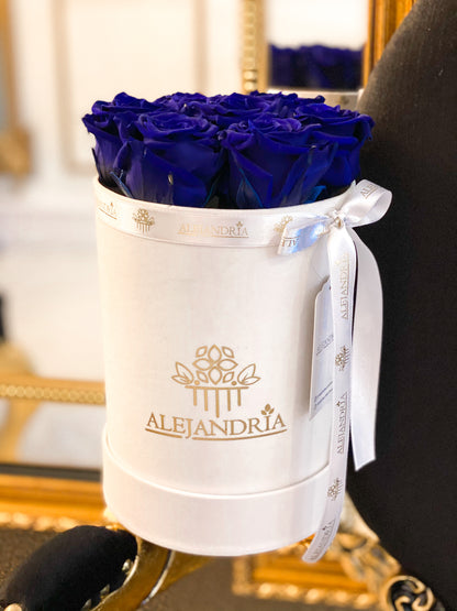 Box Terciopelo 7 Rosas Preservadas - Alejandría Arte Floral 