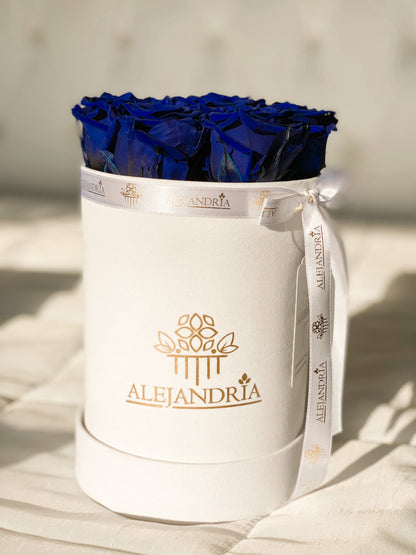 Box Terciopelo 7 Rosas Preservadas - Alejandría Arte Floral 
