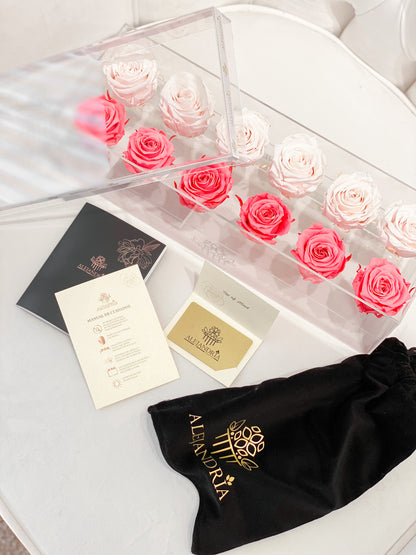 12 Rosas Preservadas en Caja Acrílica - Alejandría Arte Floral 