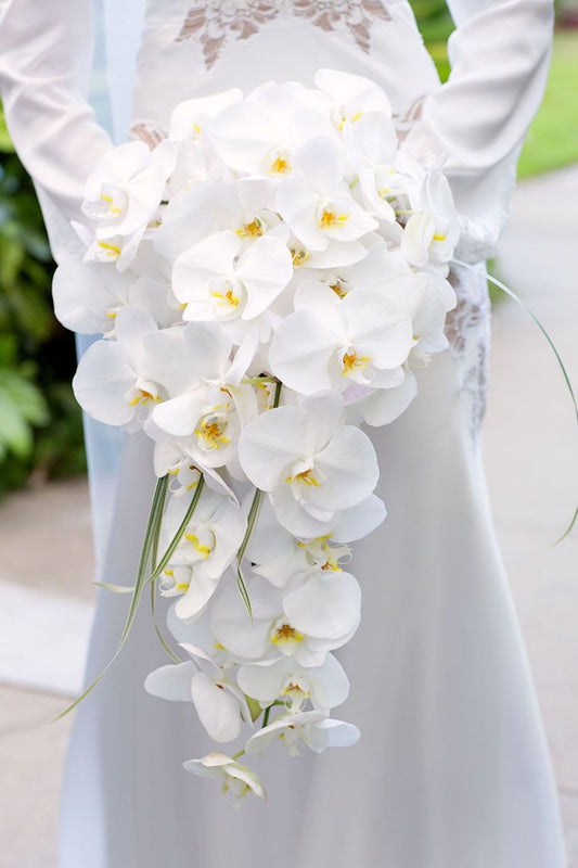 Ramo de Orquídeas "Cascada" - Alejandría Arte Floral 